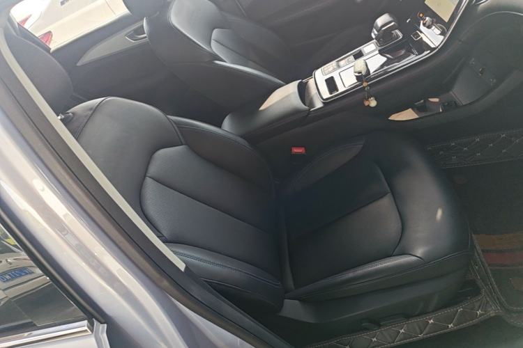 Used Rising ER6 2021 New Dynamic Edition 620km Smart Enjoyment Version Right Front Seat