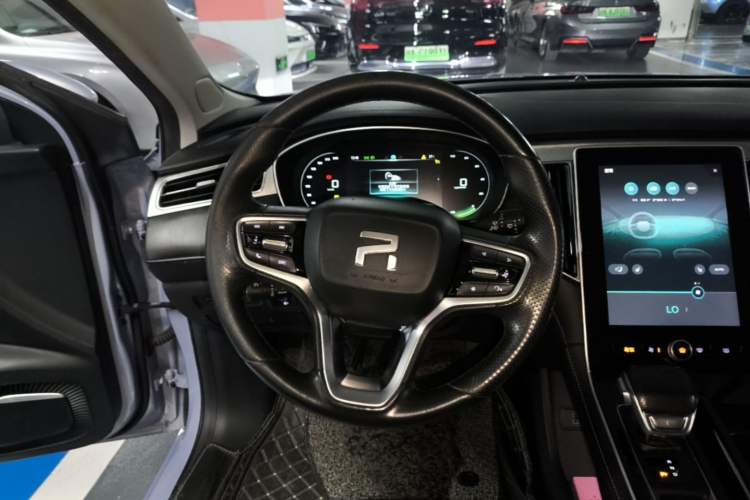 Used Rising ER6 2021 New Dynamic Edition 520km Smart Leading Version Steering Wheel