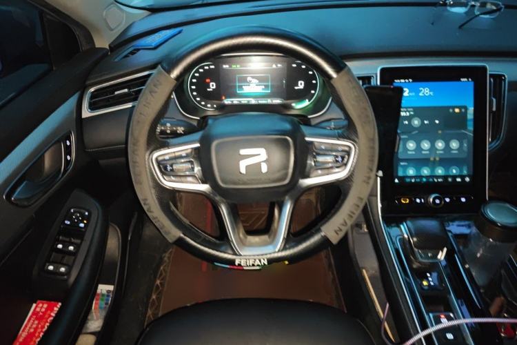 Used Rising ER6 2021 New Dynamic Edition 520km Smart Leading Version Steering Wheel