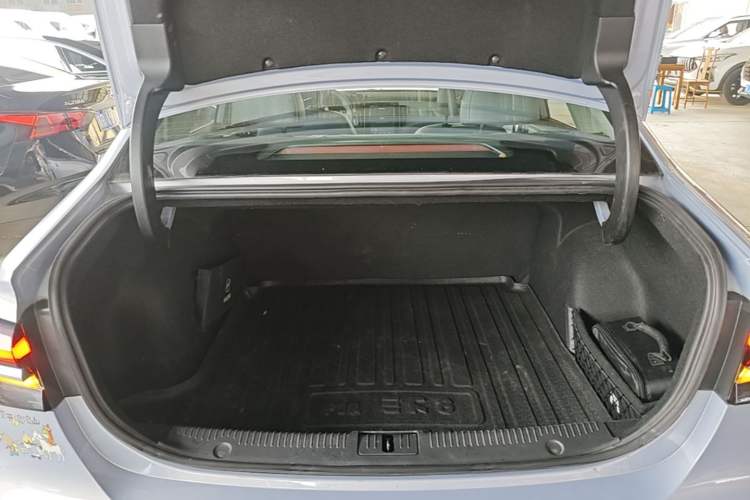 Used Rising ER6 2021 New Dynamic Edition 620km Smart Enjoyment Version Trunk