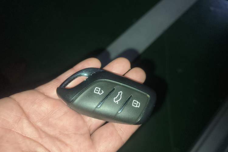Used Rising ER6 2021 New Dynamic Edition 520km Smart Leading Version Vehicle Key
