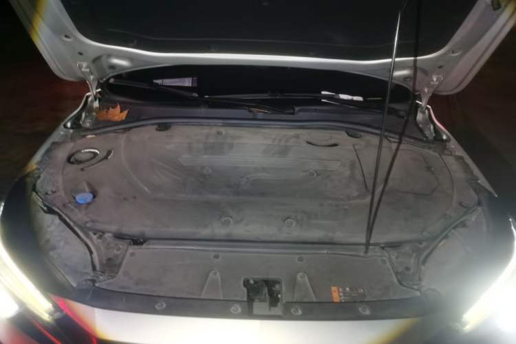 Used Rising ER6 2021 New Dynamic Edition 620km Smart Enjoyment Version Engine Bay