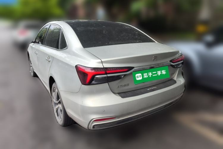 Used Rising ER6 2021 New Dynamic Edition 620km Prestige Version Rear Left 45 Deg