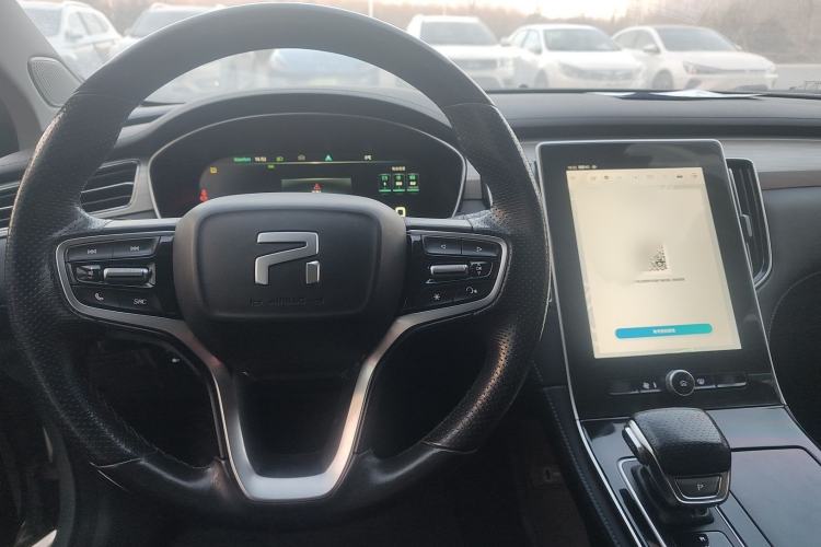 Used Rising ER6 2021 New Dynamic Edition 620km Smart Enjoyment Version Steering Wheel
