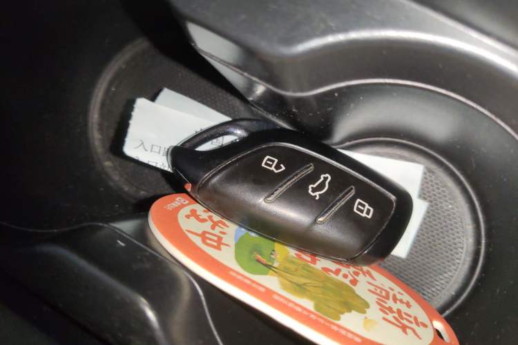 Used Rising ER6 2021 New Dynamic Edition 620km Smart Drive Version Vehicle Key