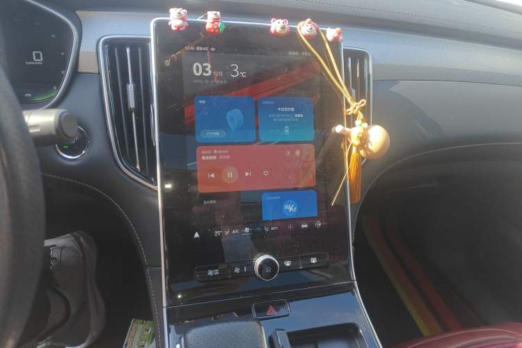 Used Rising ER6 2021 New Dynamic Edition 520km Smart Leading Version Audio And AC Panel