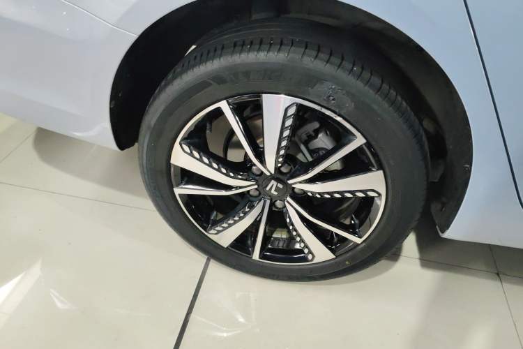 Used Rising ER6 2021 New Dynamic Edition 620km Smart Enjoyment Version Exterior 3