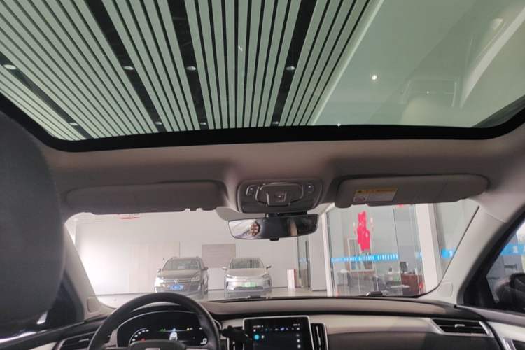 Used Rising ER6 2021 New Dynamic Edition 620km Smart Drive Version Headliner