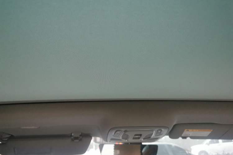 Used Rising ER6 2021 New Dynamic Edition 620km Smart Drive Version Headliner