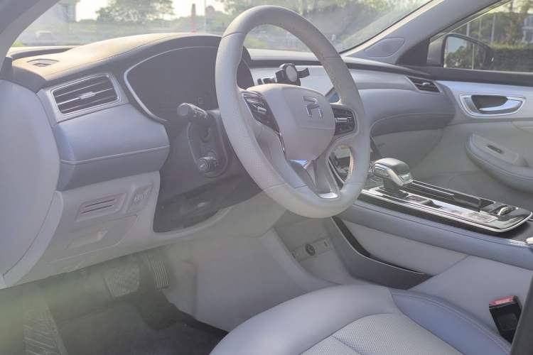 Used Rising ER6 2021 New Dynamic Edition 620km Smart Enjoyment Version Interior 2