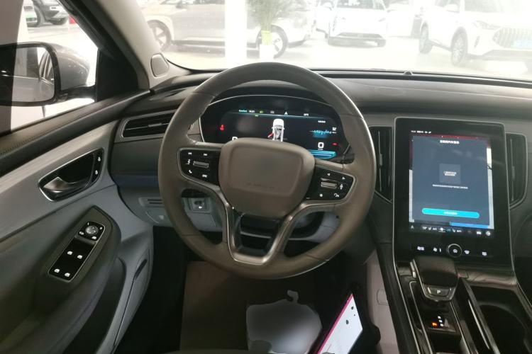 Used Rising ER6 2021 New Dynamic Edition 620km Smart Enjoyment Version Steering Wheel