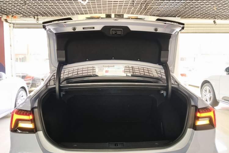 Used Rising ER6 2021 New Dynamic Edition 620km Smart Drive Version Trunk