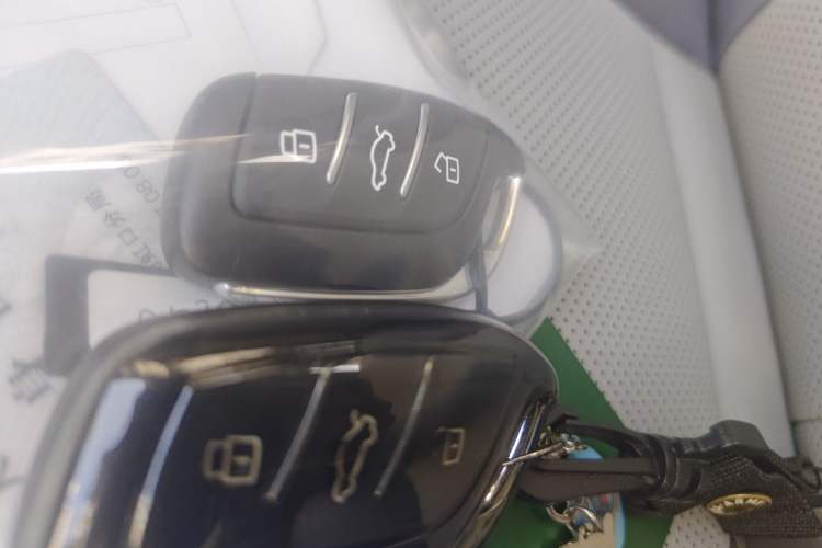 Used Rising ER6 2021 New Dynamic Edition 620km Smart Enjoyment Version Vehicle Key