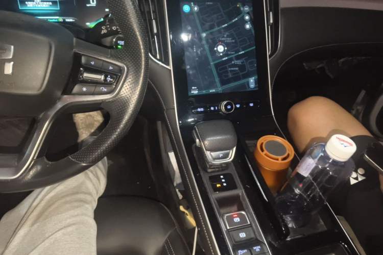 Used Rising ER6 2021 New Dynamic Edition 520km Smart Leading Version Audio And AC Panel