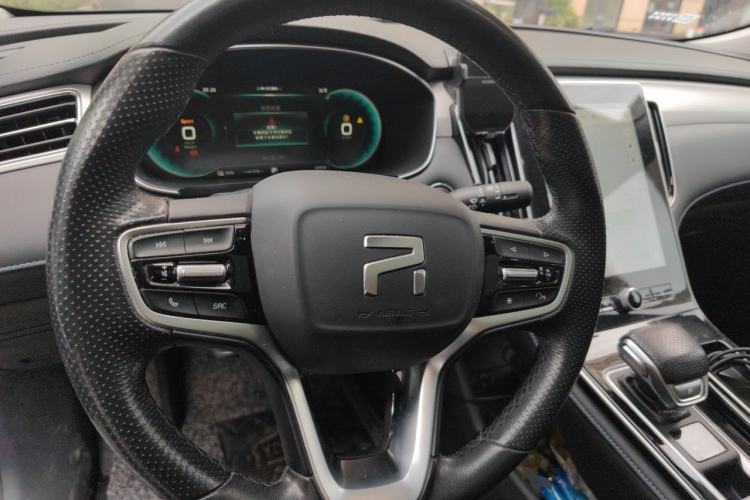 Used Rising ER6 2021 New Dynamic Edition 620km Prestige Version Steering Wheel