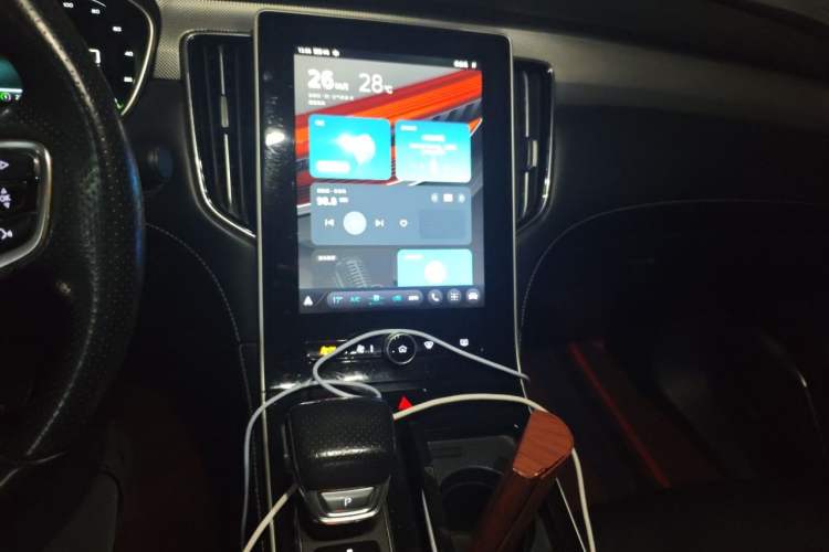 Used Rising ER6 2021 New Dynamic Edition 620km Smart Drive Version Audio And AC Panel