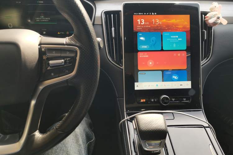 Used Rising ER6 2021 New Dynamic Edition 620km Smart Enjoyment Version Audio And AC Panel