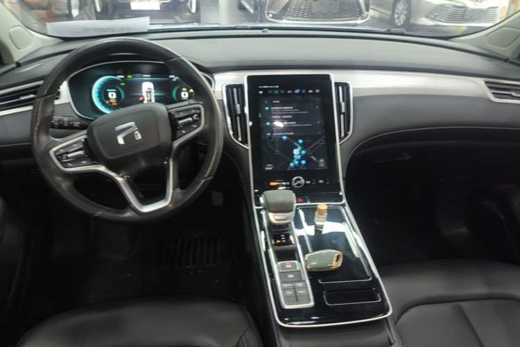 Used Rising ER6 2021 New Dynamic Edition 620km Smart Enjoyment Version Center Console