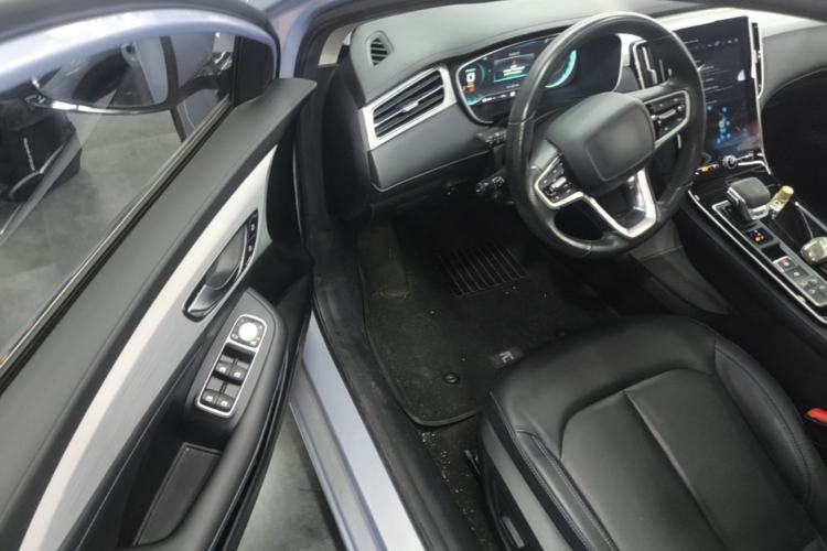 Used Rising ER6 2021 New Dynamic Edition 620km Smart Enjoyment Version Driver Seat