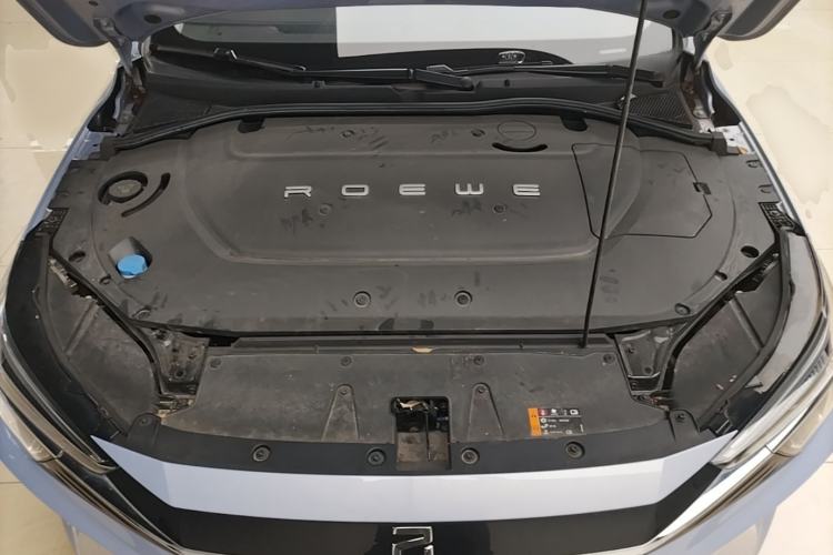 Used Rising ER6 2021 New Dynamic Edition 620km Smart Enjoyment Version Engine Bay