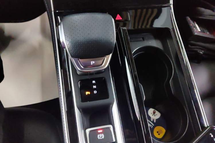 Used Rising ER6 2021 New Dynamic Edition 620km Smart Enjoyment Version Gear Lever