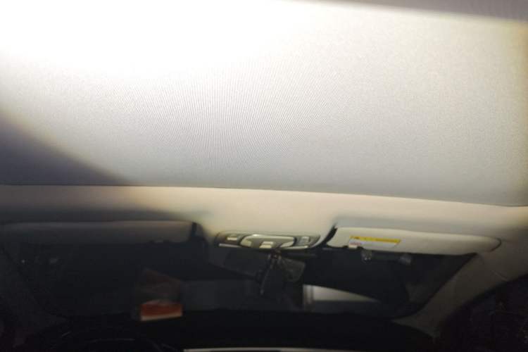 Used Rising ER6 2021 New Dynamic Edition 620km Smart Drive Version Headliner