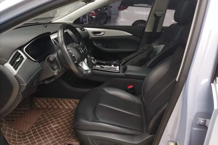 Used Rising ER6 2021 New Dynamic Edition 620km Smart Enjoyment Version Left Front Seat