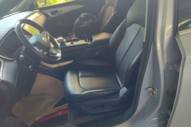 Used Rising ER6 2021 New Dynamic Edition 620km Smart Enjoyment Version Left Front Seat
