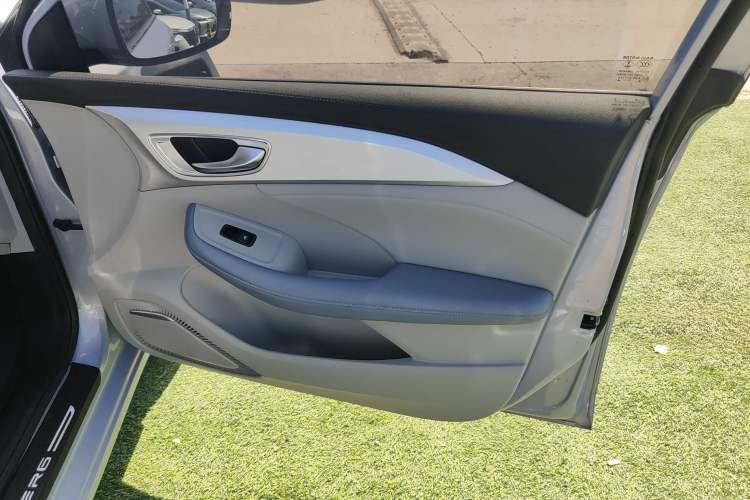Used Rising ER6 2021 New Dynamic Edition 620km Smart Drive Version Right Front Door Interior