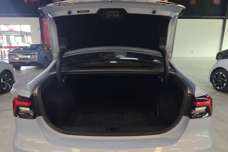 Used Rising ER6 2021 New Dynamic Edition 520km Smart Leading Version Trunk