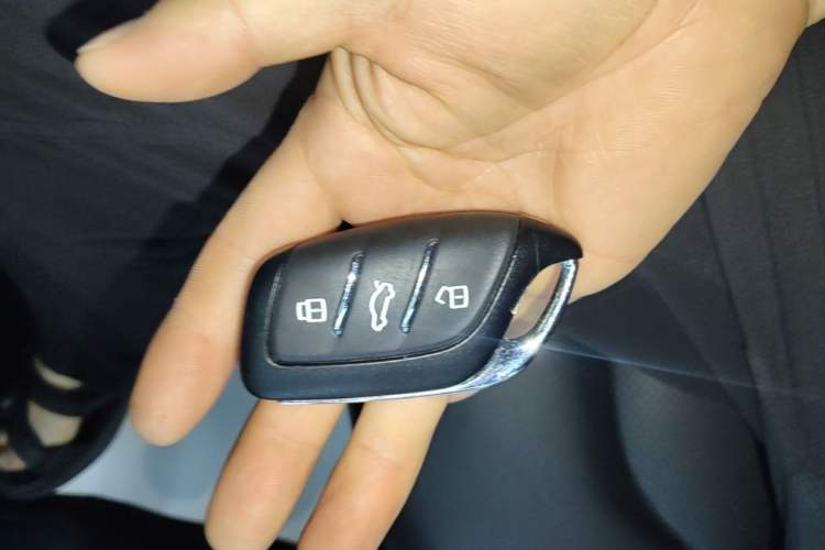 Used Rising ER6 2021 New Dynamic Edition 620km Smart Enjoyment Version Vehicle Key