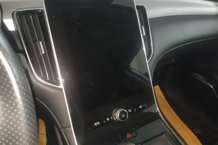 Used Rising ER6 2021 New Dynamic Edition 620km Smart Drive Version Audio And AC Panel