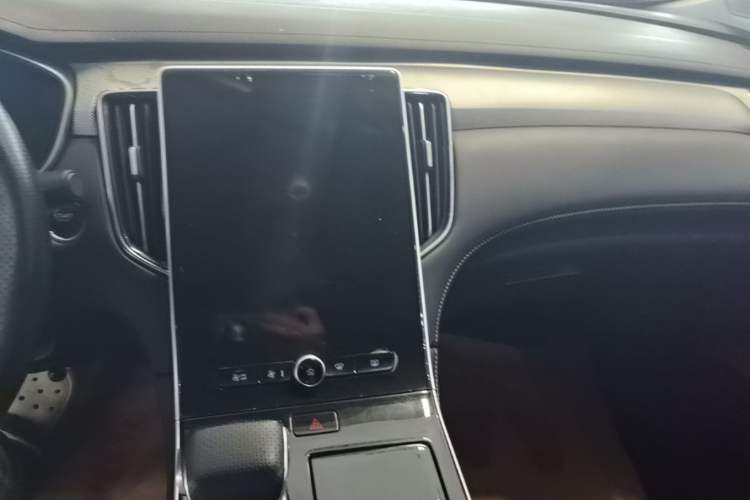 Used Rising ER6 2021 New Dynamic Edition 620km Smart Drive Version Audio And AC Panel
