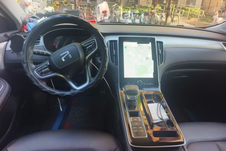 Used Rising ER6 2021 New Dynamic Edition 620km Smart Enjoyment Version Center Console