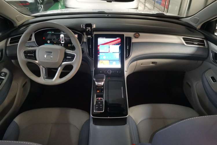 Used Rising ER6 2021 New Dynamic Edition 620km Smart Enjoyment Version Center Console