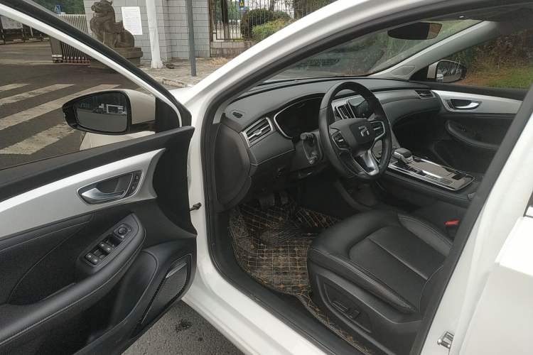 Used Rising ER6 2021 New Dynamic Edition 620km Smart Drive Version Driver Seat