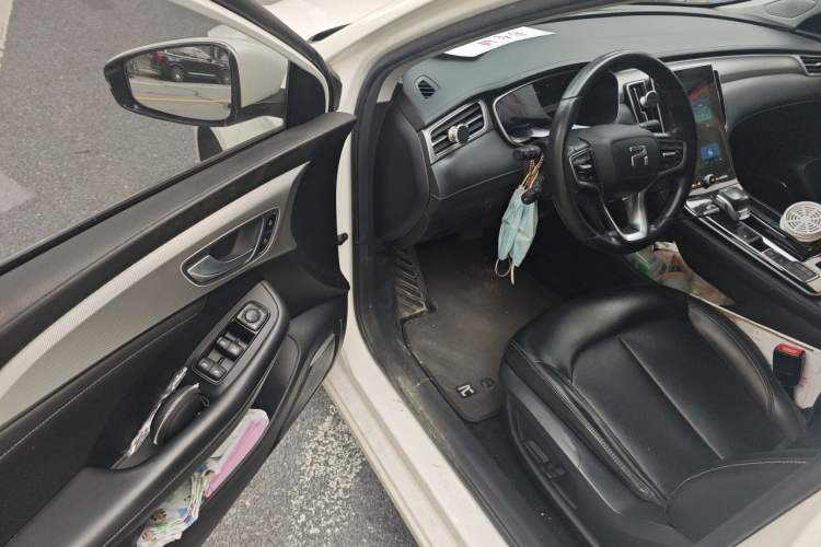 Used Rising ER6 2021 New Dynamic Edition 620km Smart Drive Version Driver Seat