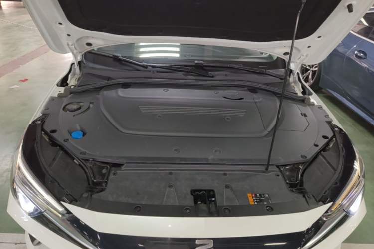 Used Rising ER6 2021 New Dynamic Edition 520km Smart Leading Version Engine Bay
