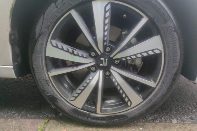 Used Rising ER6 2021 New Dynamic Edition 520km Smart Leading Version Exterior 1