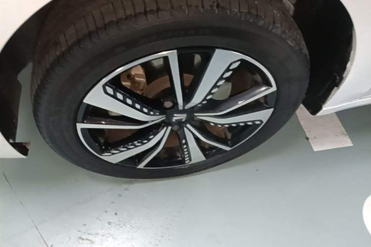 Used Rising ER6 2021 New Dynamic Edition 620km Smart Enjoyment Version Exterior 4