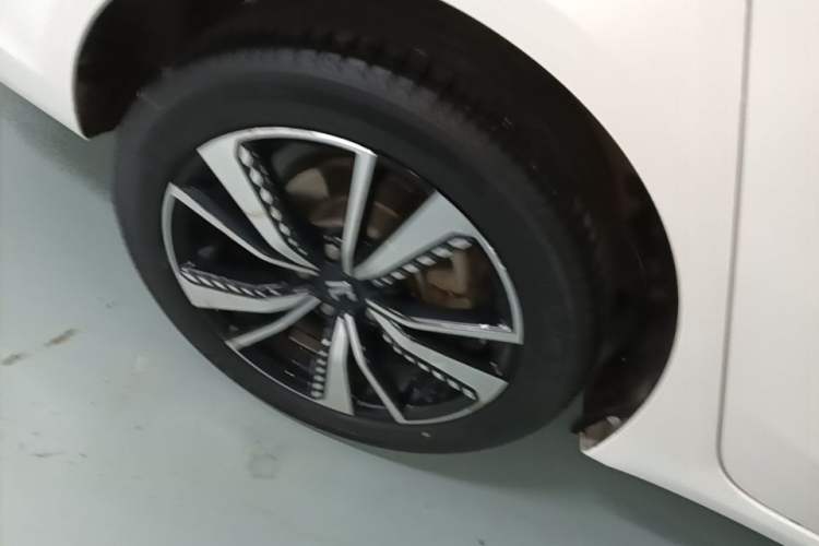Used Rising ER6 2021 New Dynamic Edition 620km Smart Enjoyment Version Exterior 5