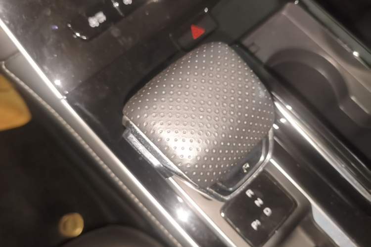 Used Rising ER6 2021 New Dynamic Edition 620km Smart Drive Version Gear Lever