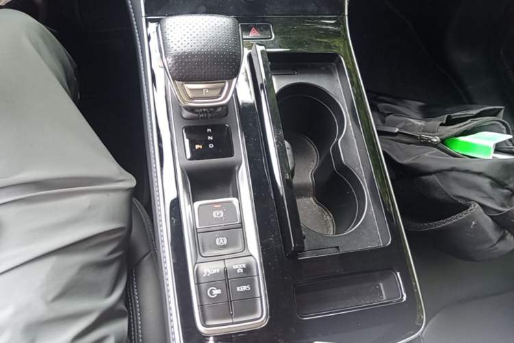 Used Rising ER6 2021 New Dynamic Edition 620km Smart Enjoyment Version Gear Lever