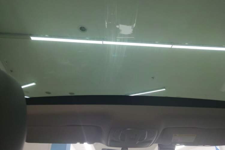 Used Rising ER6 2021 New Dynamic Edition 620km Smart Drive Version Headliner