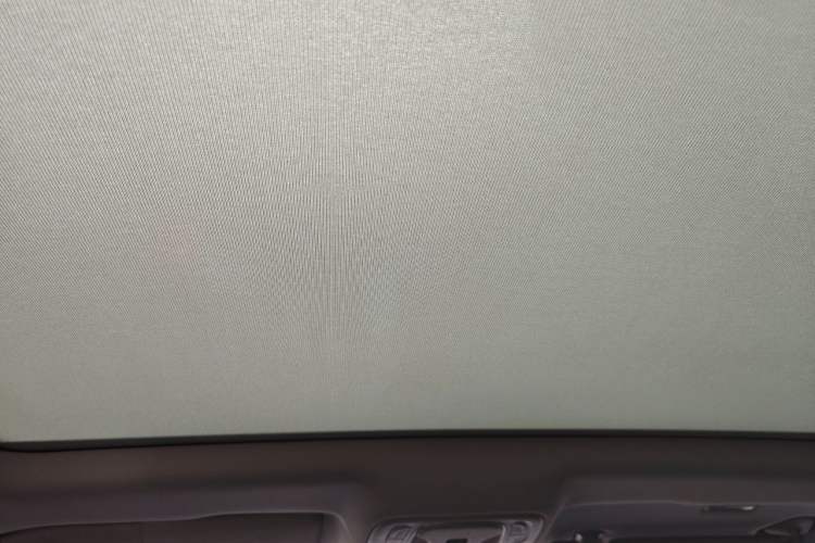 Used Rising ER6 2021 New Dynamic Edition 620km Smart Drive Version Headliner