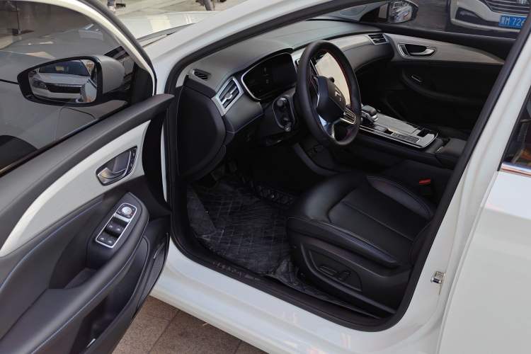 Used Rising ER6 2021 New Dynamic Edition 620km Smart Enjoyment Version Interior 2