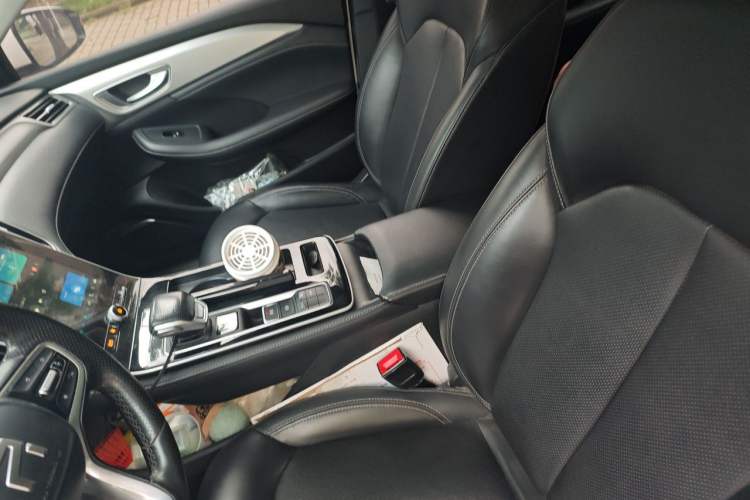 Used Rising ER6 2021 New Dynamic Edition 620km Smart Drive Version Left Front Seat
