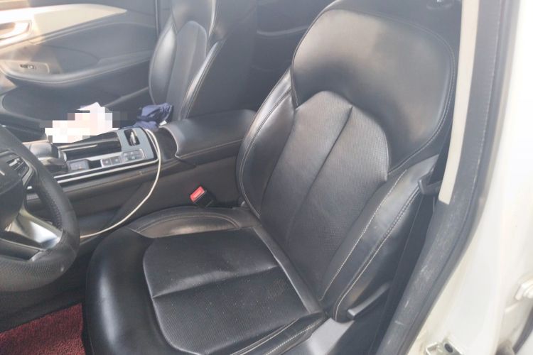 Used Rising ER6 2021 New Dynamic Edition 520km Smart Leading Version Left Front Seat