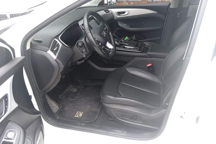 Used Rising ER6 2021 New Dynamic Edition 620km Smart Enjoyment Version Left Front Seat