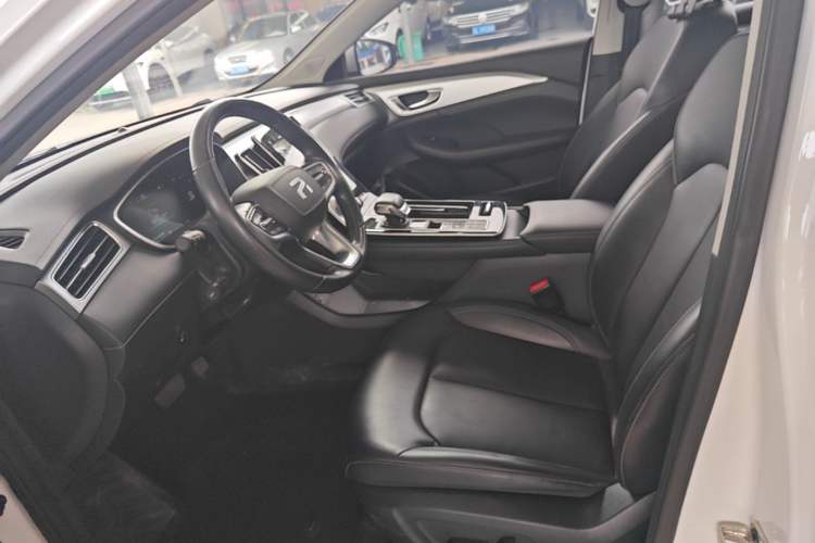 Used Rising ER6 2021 New Dynamic Edition 520km Smart Leading Version Left Front Seat